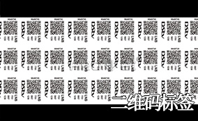 抖圈A-1喷码平台一体机Technical Parameters